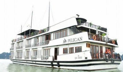 Du Thuyền Pelican 22 cabin